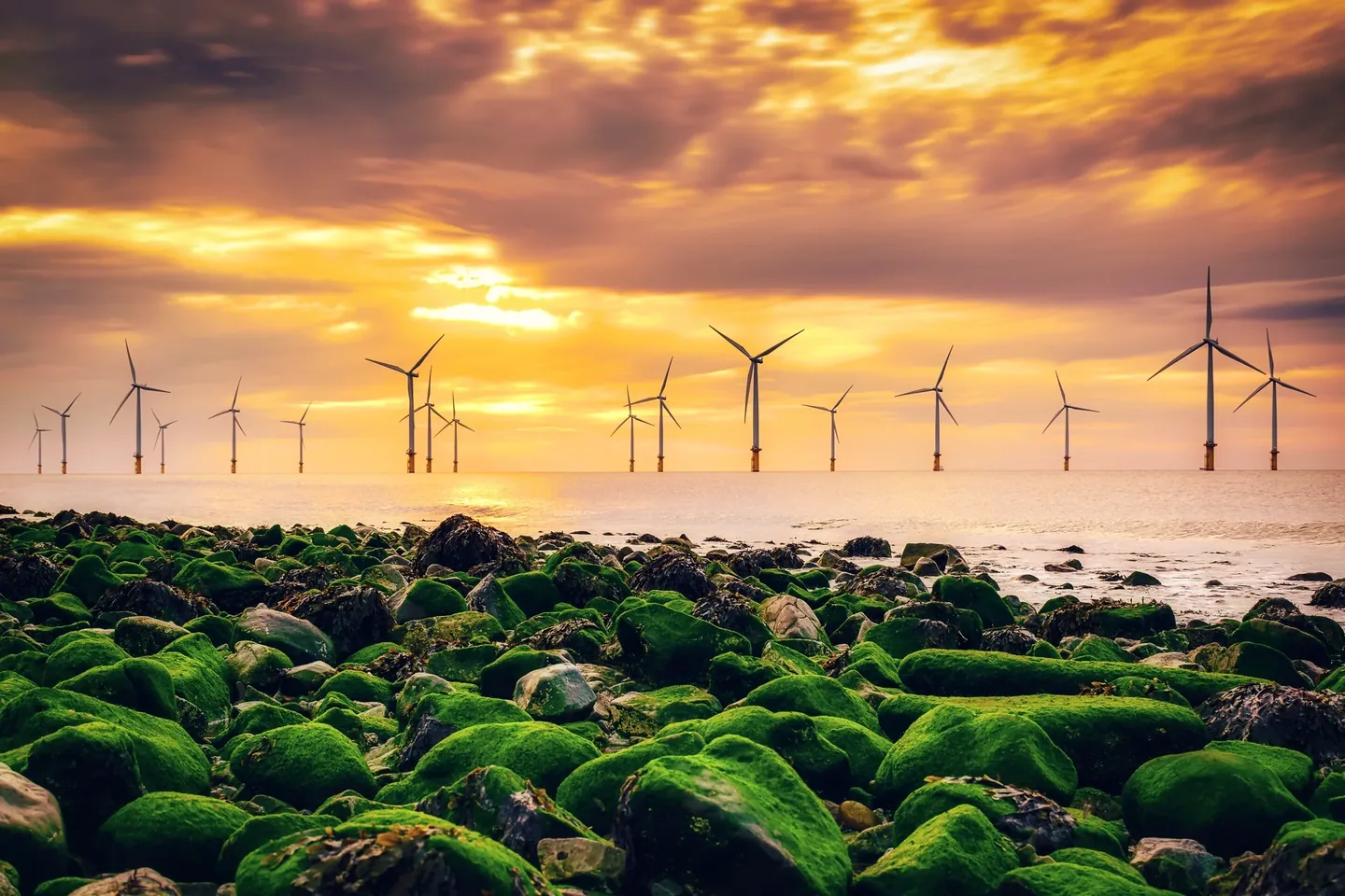 Offshore wind farm at sunset