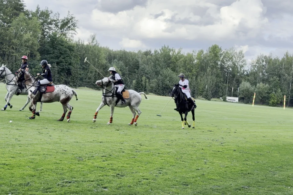 Tre spillere i galop efter bolden, med skovbrynet i baggrunden