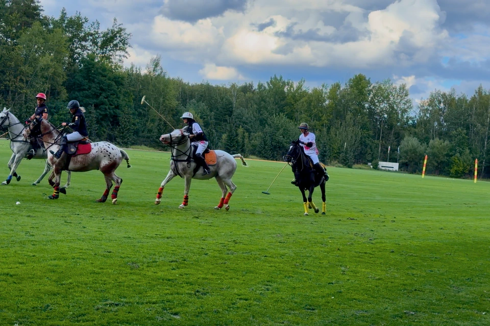 Three players at the gallop chasing the ball