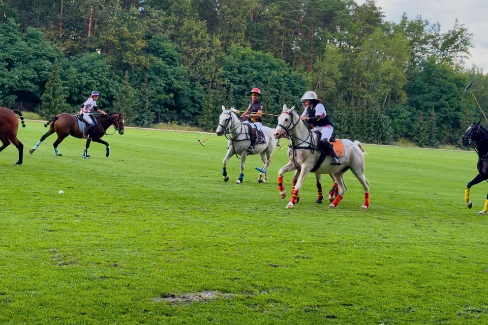 Warsaw Polo Club players with mallets raised for the strike