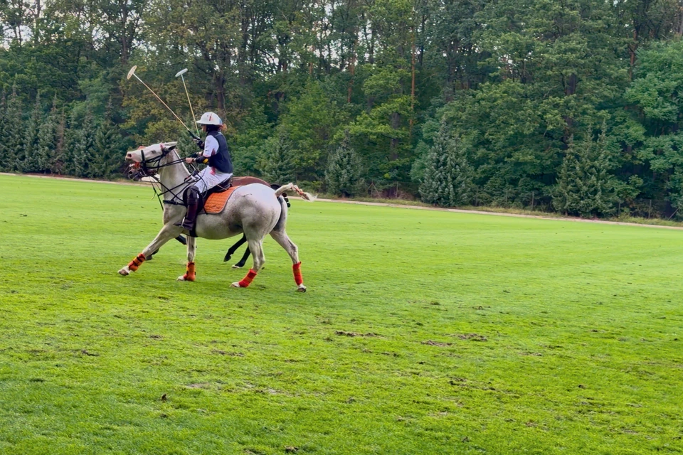 A player on a grey horse swinging her mallet
