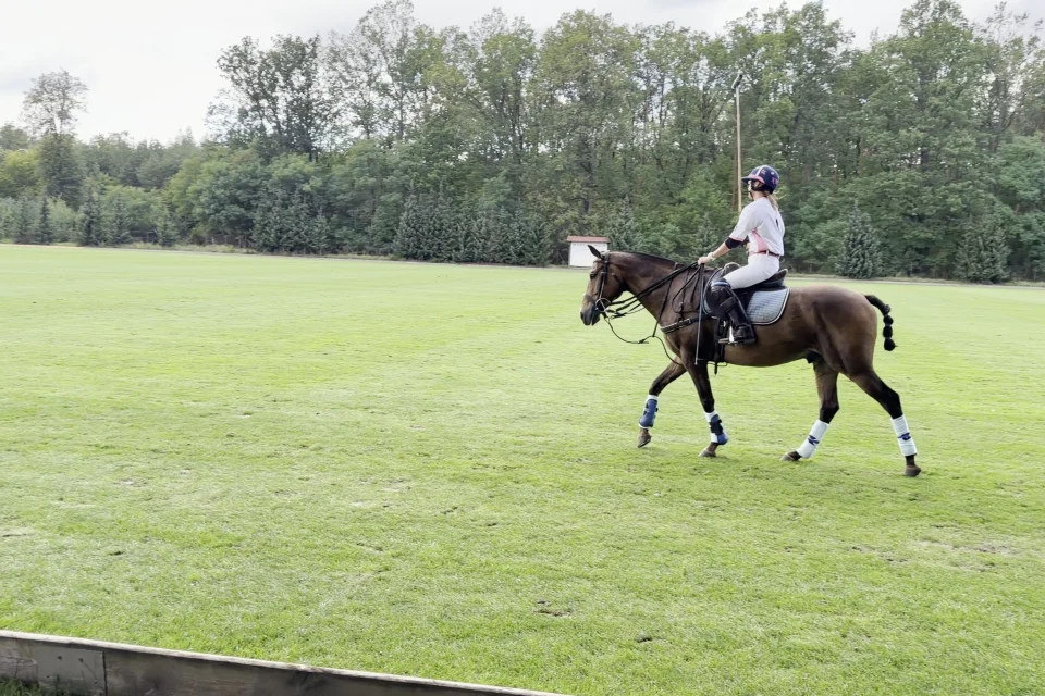 Spiller på en brun hest i trav langs banens sidelinje