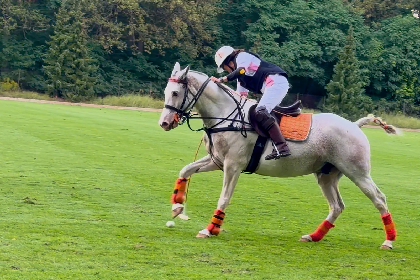 Player on a grey horse at a gallop just before striking the ball