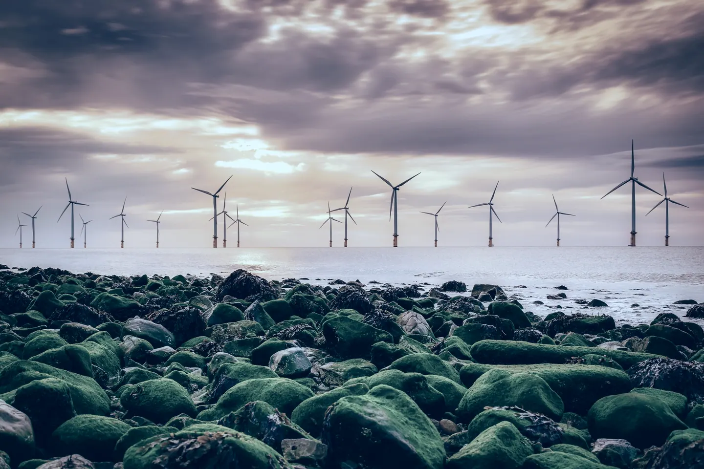 Offshore wind farm